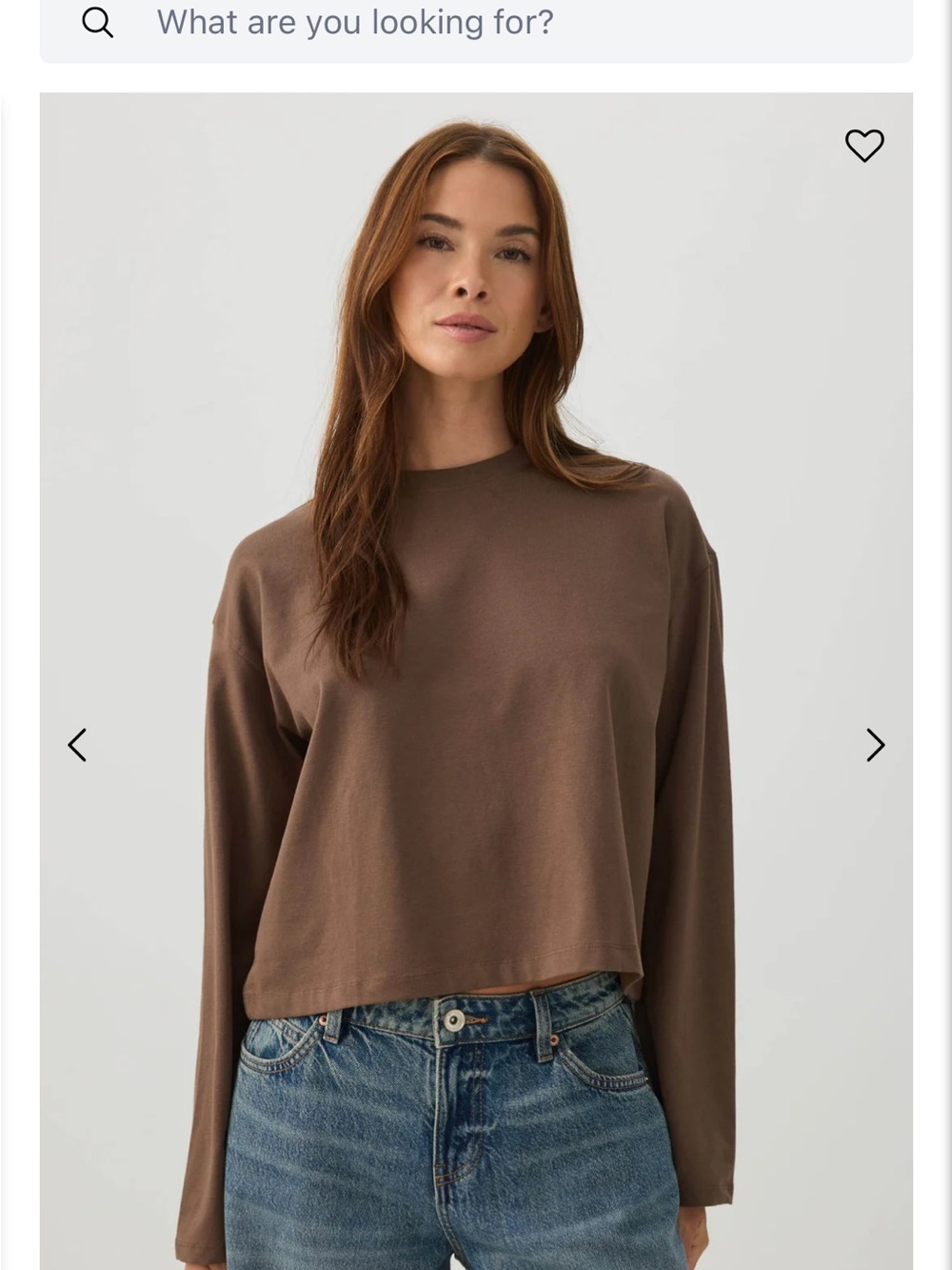 Ardene Brown Long-Sleeve Crewneck Top
